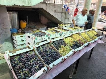 انطلاق فعاليات مهرجان عنب جنين في سوق برطعه التجاري